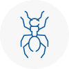 Ant Removals In Abbey Wood