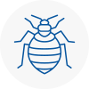 Bed Bug Extermination In Abbey Wood