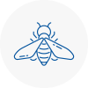 Bee Nest Removal Abbey Wood