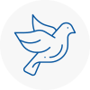 Bird Prevention Abbey Wood