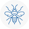 Abbey Wood Hornet Nest Removals