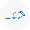 Mice Exterminators In Abbey Wood