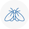 Moth Control Specialists In Abbey Wood