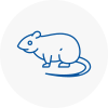 Rat Control Abbey Wood