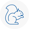 Abbey Wood Rodent Removals
